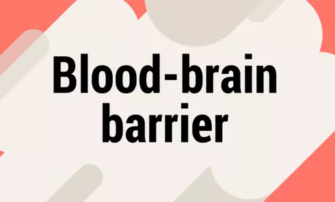 bloodbrainbarrierpng