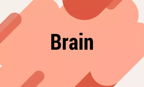 brainpng