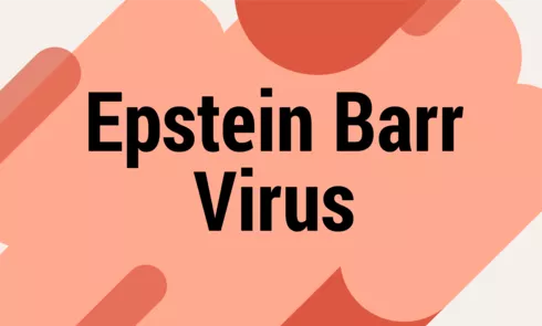 epsteinbarrviruspng