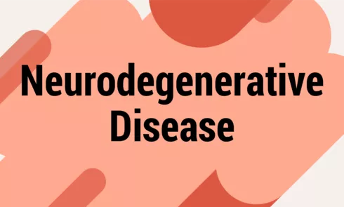 nerodegerativepng