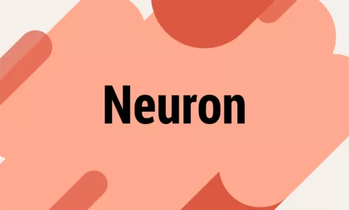 neuronpng