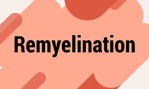 remyelinationpng