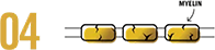 signfourpushback