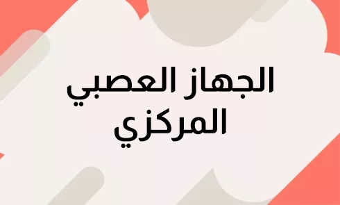 centralnervoussystemar