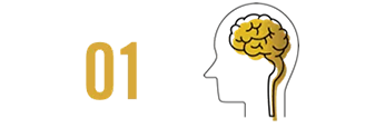 onepushbackbrain