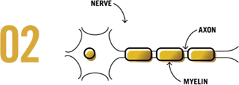twopushbackaxon