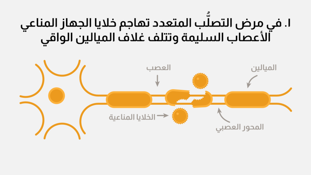 progression_immune_cells_graphic