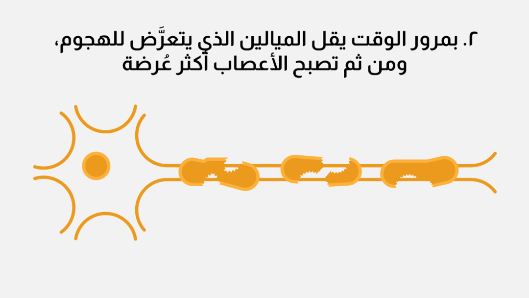 progression_myelin_graphicar